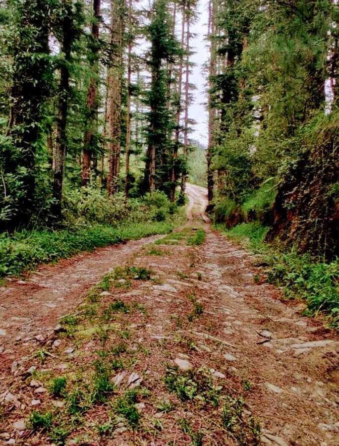 Norvin Homes Shimla Buitenkant foto