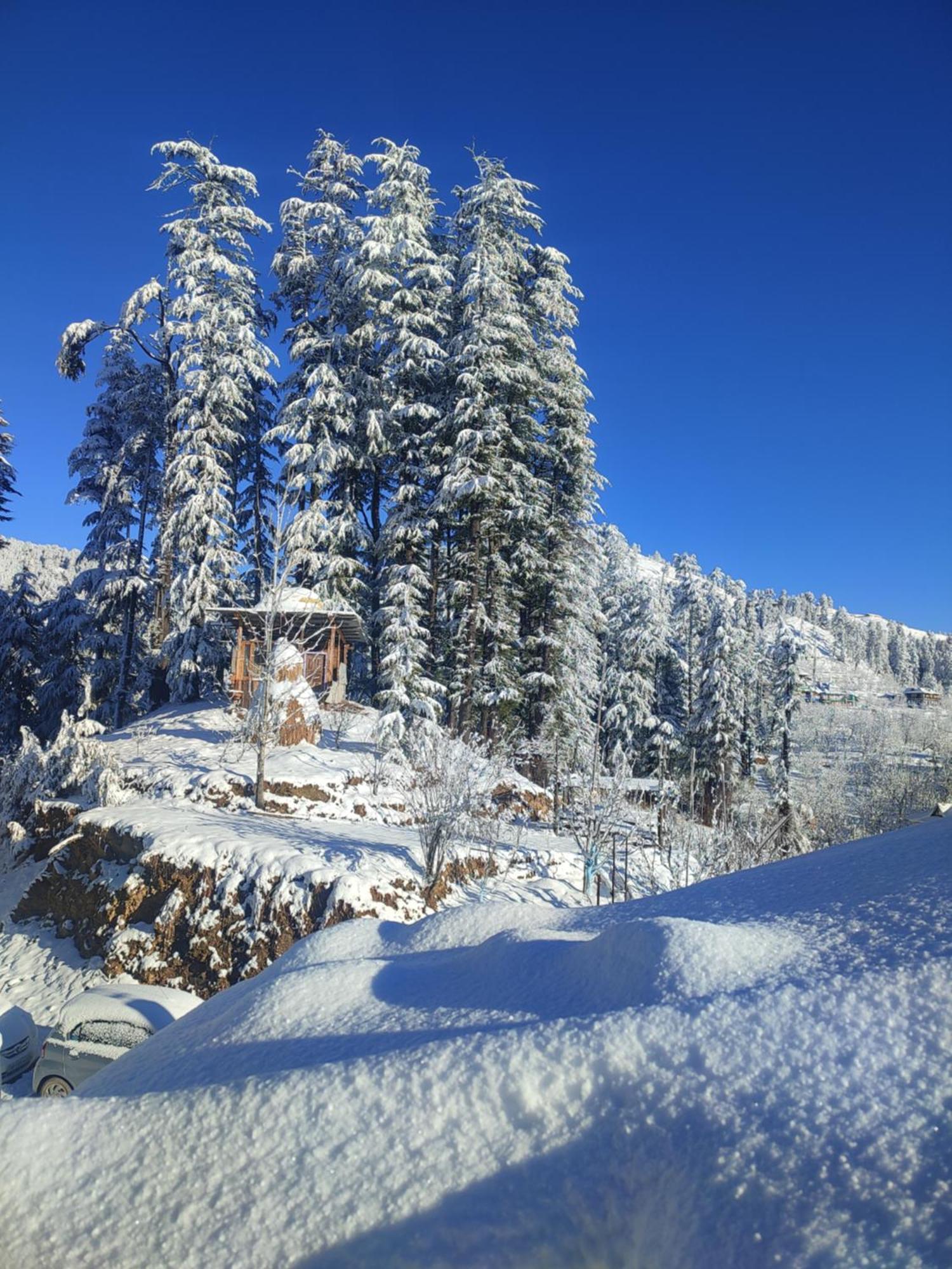 Norvin Homes Shimla Buitenkant foto