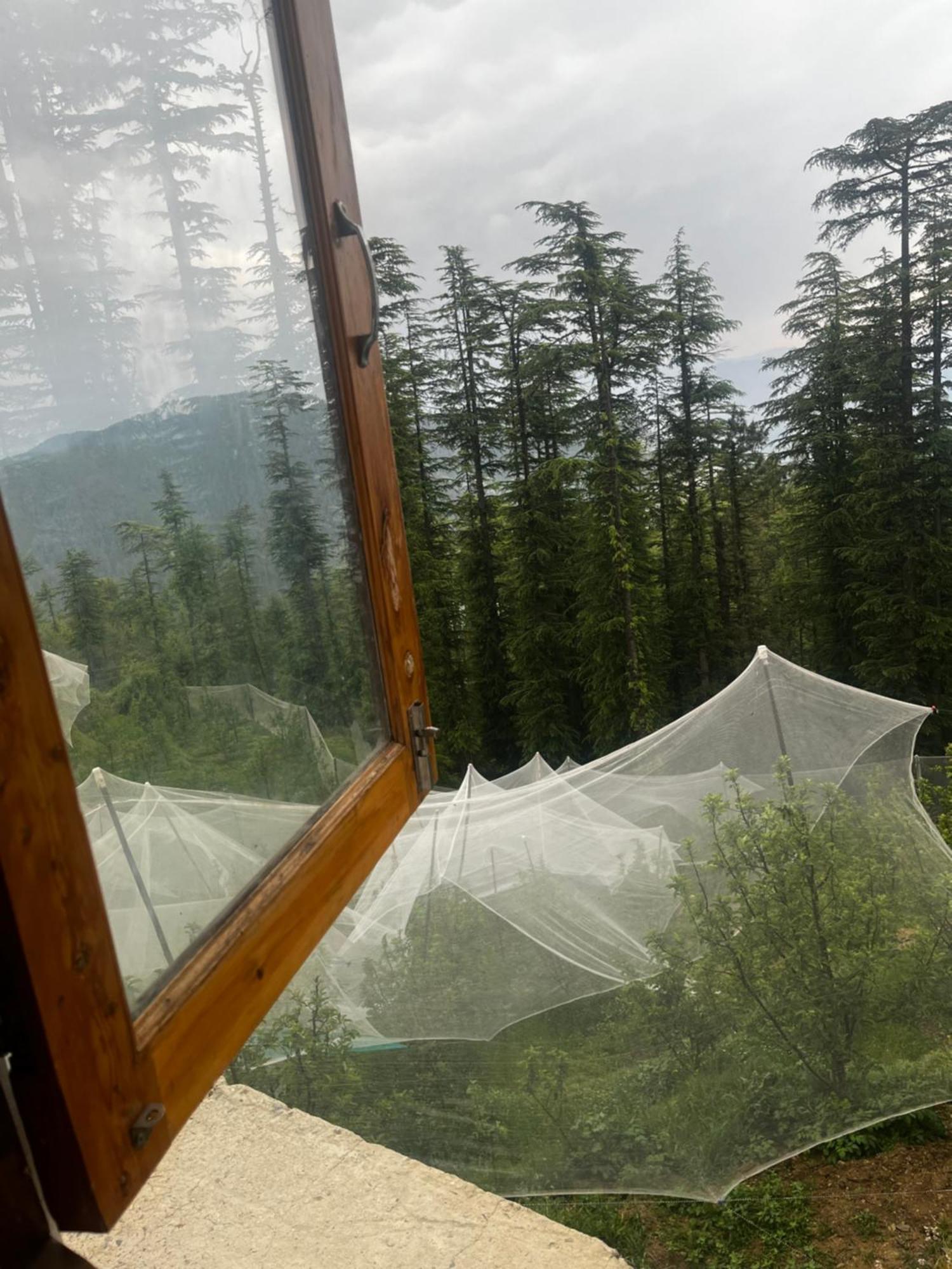 Norvin Homes Shimla Buitenkant foto