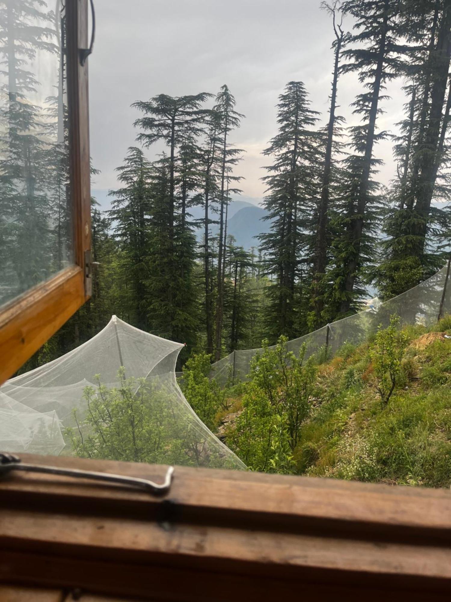 Norvin Homes Shimla Buitenkant foto