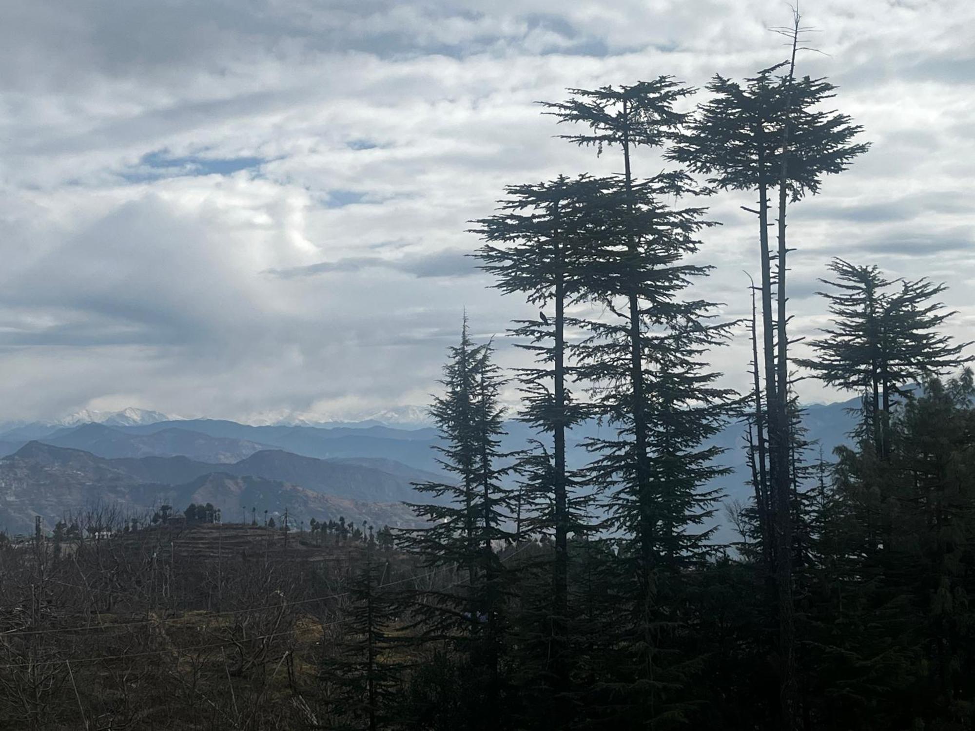 Norvin Homes Shimla Buitenkant foto